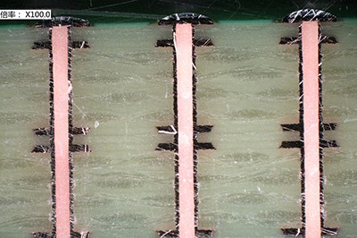 PHP9000-3F-SL Plugged Via Resin